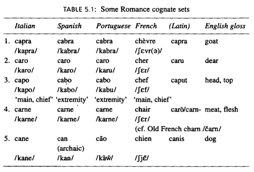 Comparative method. Comparative Linguistics. Закон Вернера в древнеанглийском языке. Comparative and historical Linguistics.